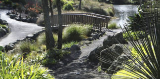 봄 날, 그곳에 가고 싶다