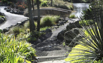 봄 날, 그곳에 가고 싶다