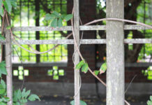 성도의 가족이 되어야 진정한 목양