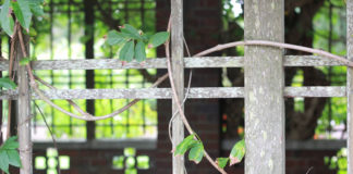 성도의 가족이 되어야 진정한 목양