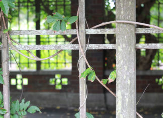 성도의 가족이 되어야 진정한 목양