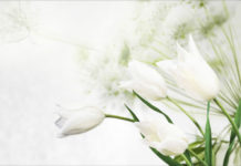 찬양시 – 주님의 깊은 사랑