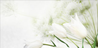 찬양시 – 주님의 깊은 사랑