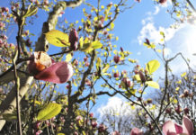 신앙의 봄 날에