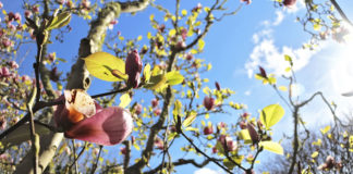 신앙의 봄 날에