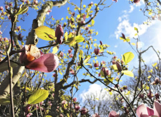 신앙의 봄 날에