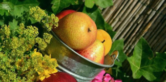 무엇이 축복인가?