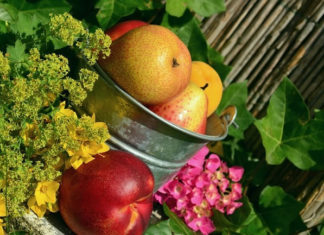 무엇이 축복인가?