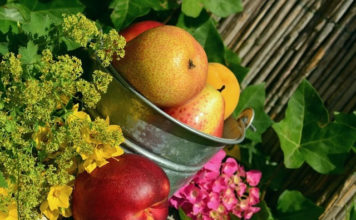 무엇이 축복인가?