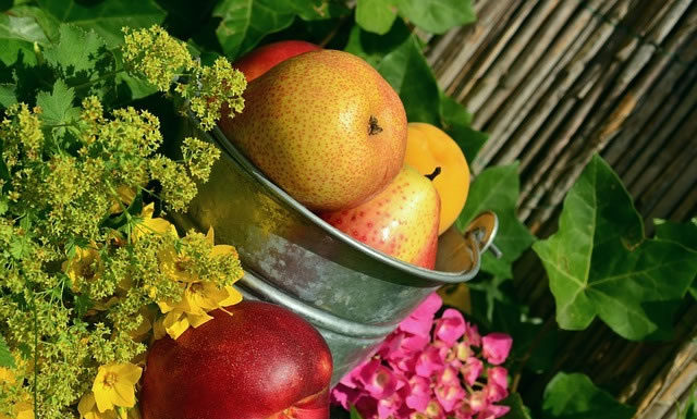 무엇이 축복인가?