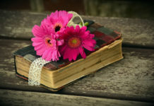 창세기 4장은 무엇에 관한 기원의 책인가?