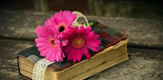 창세기 4장은 무엇에 관한 기원의 책인가?