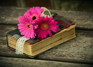 창세기 4장은 무엇에 관한 기원의 책인가?