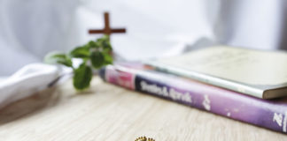 낙태 안전의 날 제정 반대