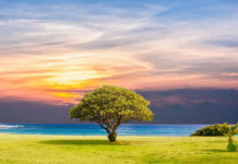 하나님 보시기에 좋아야 한다