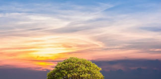 하나님 보시기에 좋아야 한다