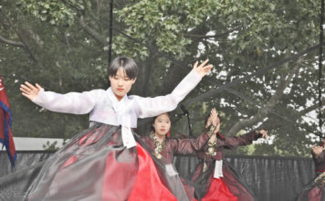 타우랑가 다민족 축제