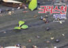 제292회 크리스천