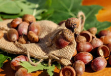 기다리는 사람들