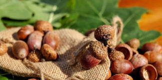 기다리는 사람들