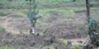 하나님의 주권으로 나타난 ‘은혜와 긍휼’