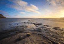 삶의 위기가 찾아 올 때