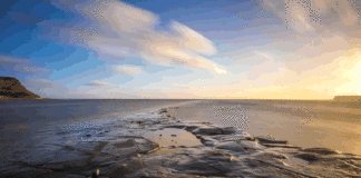 삶의 위기가 찾아 올 때