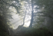 벗는 죽음 입는 죽음