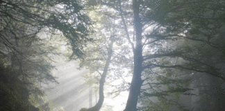 벗는 죽음 입는 죽음