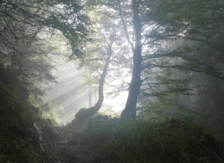 벗는 죽음 입는 죽음