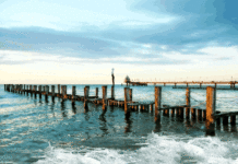 너희는 세상의 소금이다