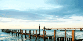 너희는 세상의 소금이다