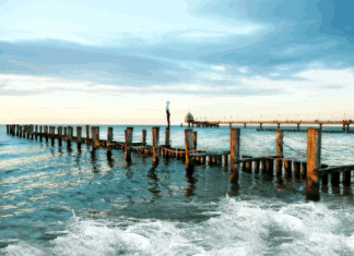 너희는 세상의 소금이다