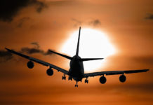 한국과 뉴질랜드, 베트남 그리고 세계