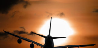 한국과 뉴질랜드, 베트남 그리고 세계