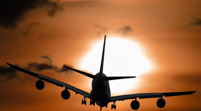 한국과 뉴질랜드, 베트남 그리고 세계