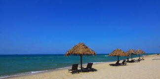 믿음에 관한 말씀을 묵상하고 기도하자