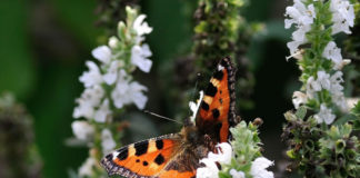 절제, 성경에서 배운다