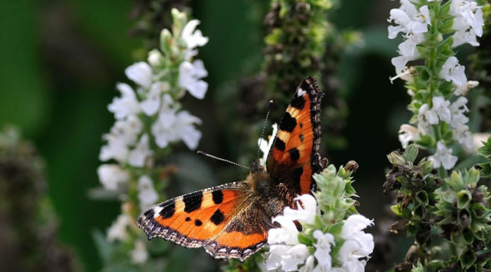 절제, 성경에서 배운다