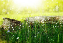 호주 3개도시 정탐이야기