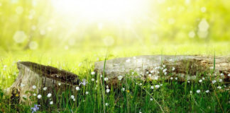 호주 3개도시 정탐이야기