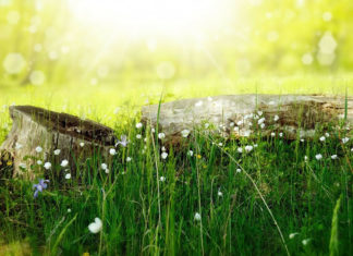 호주 3개도시 정탐이야기