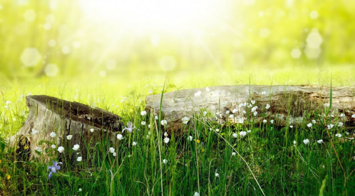 호주 3개도시 정탐이야기