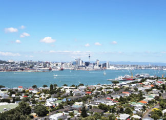 새 시대가 시작되고 있다-한인 디아스포라의 미래