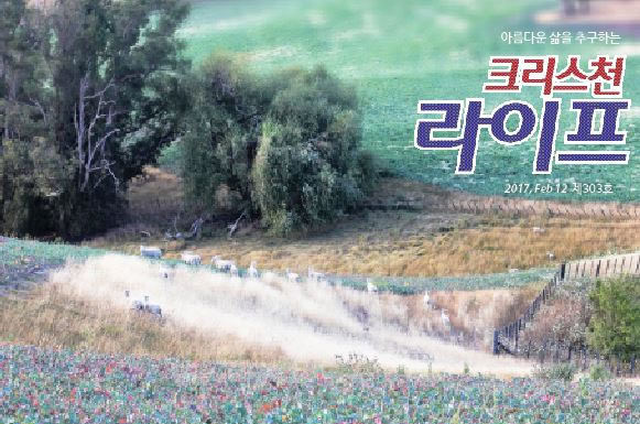 그곳에 가고 싶다- 혹스베이를 따라서