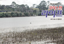 부활주일을 준비하며