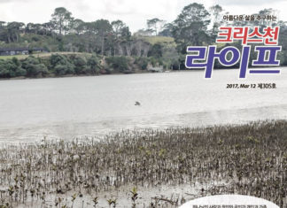 부활주일을 준비하며