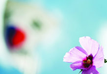 한반도 위한 기도와 기도제목