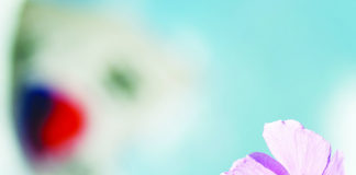 한반도 위한 기도와 기도제목