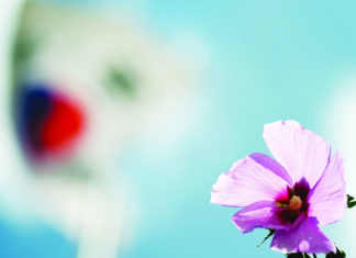 한반도 위한 기도와 기도제목